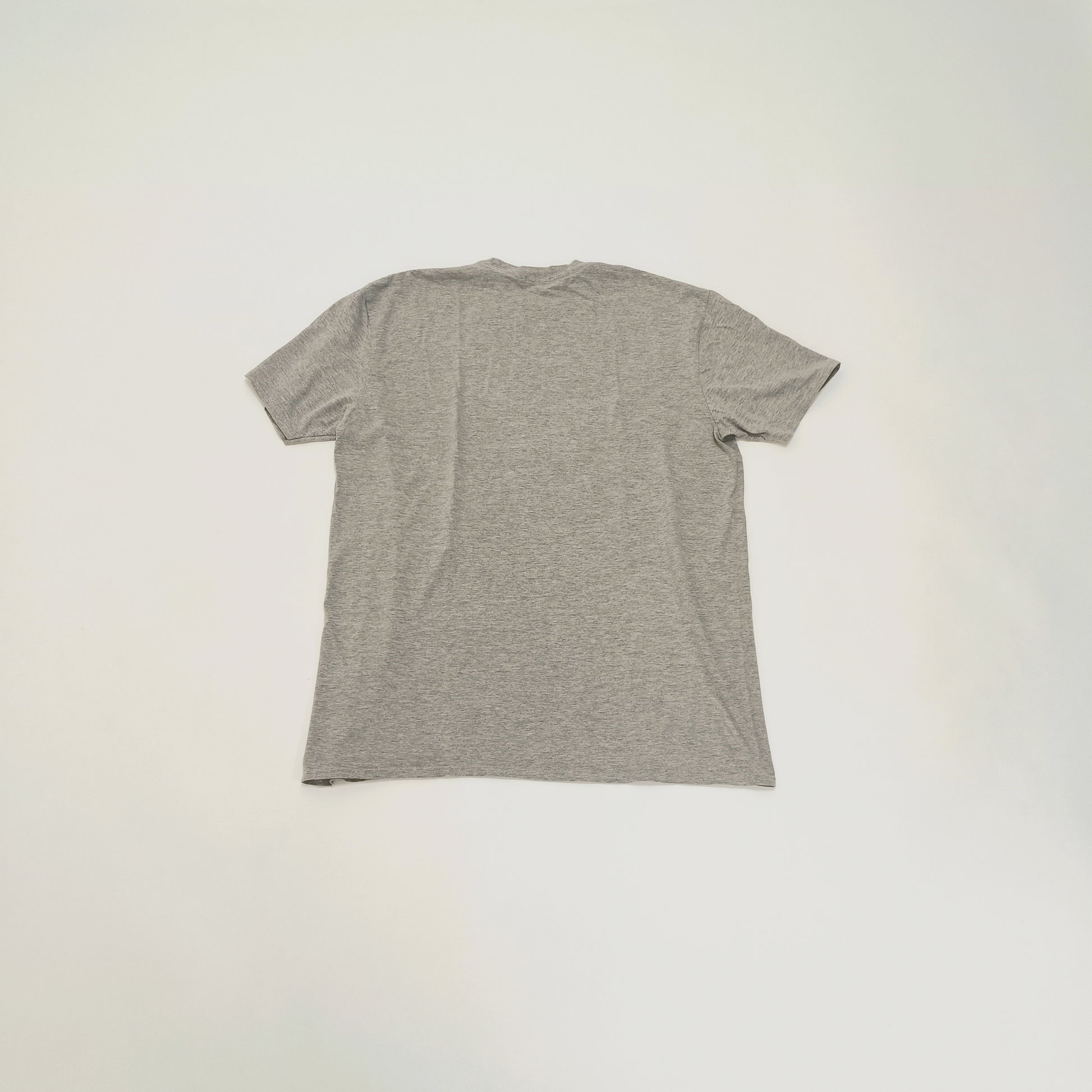 Grey Oversized Crew Neck T-Shirt Size Small | Preloved