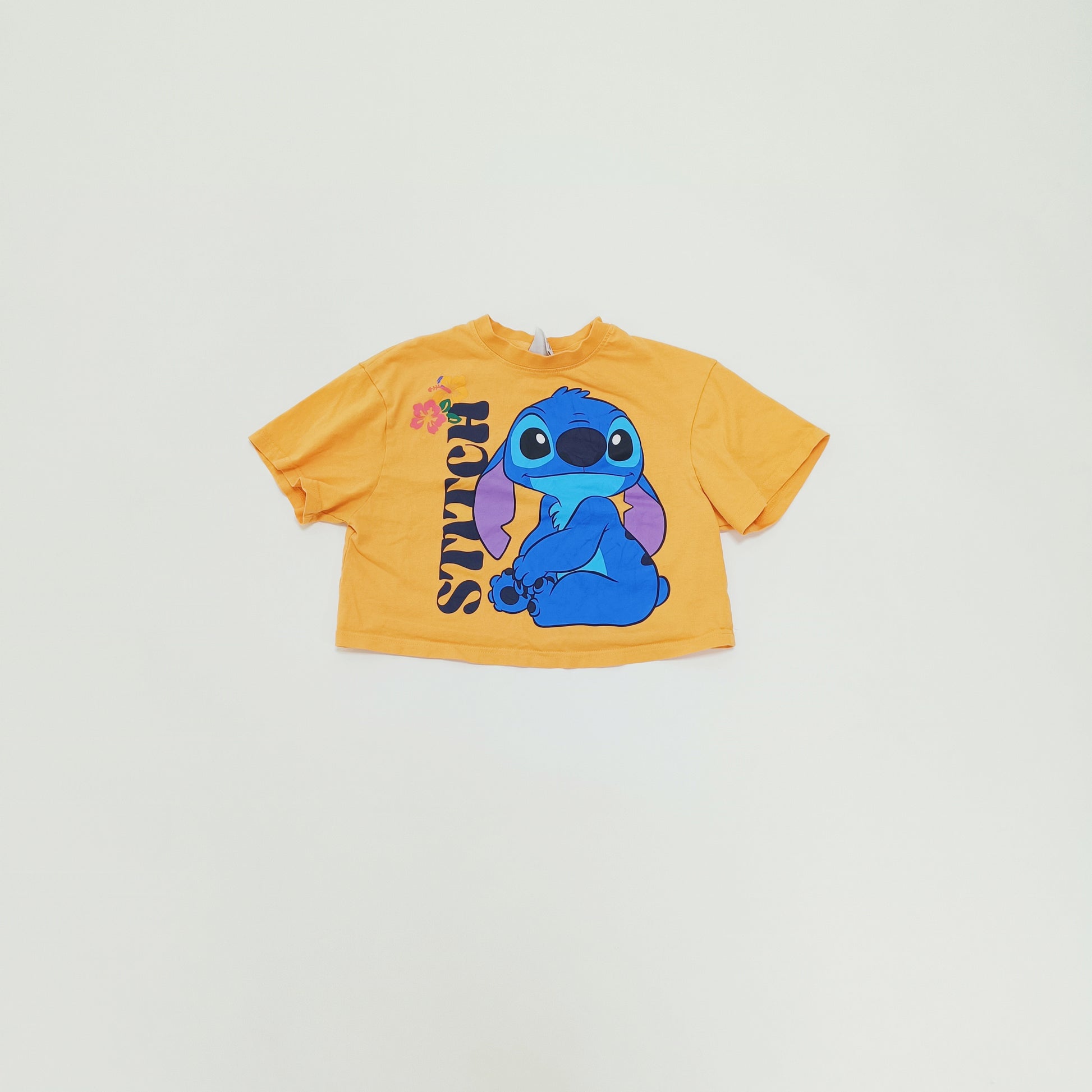 Orange Stitch Graphic Cropped T-Shirt Size Extra Extra Small | Preloved
