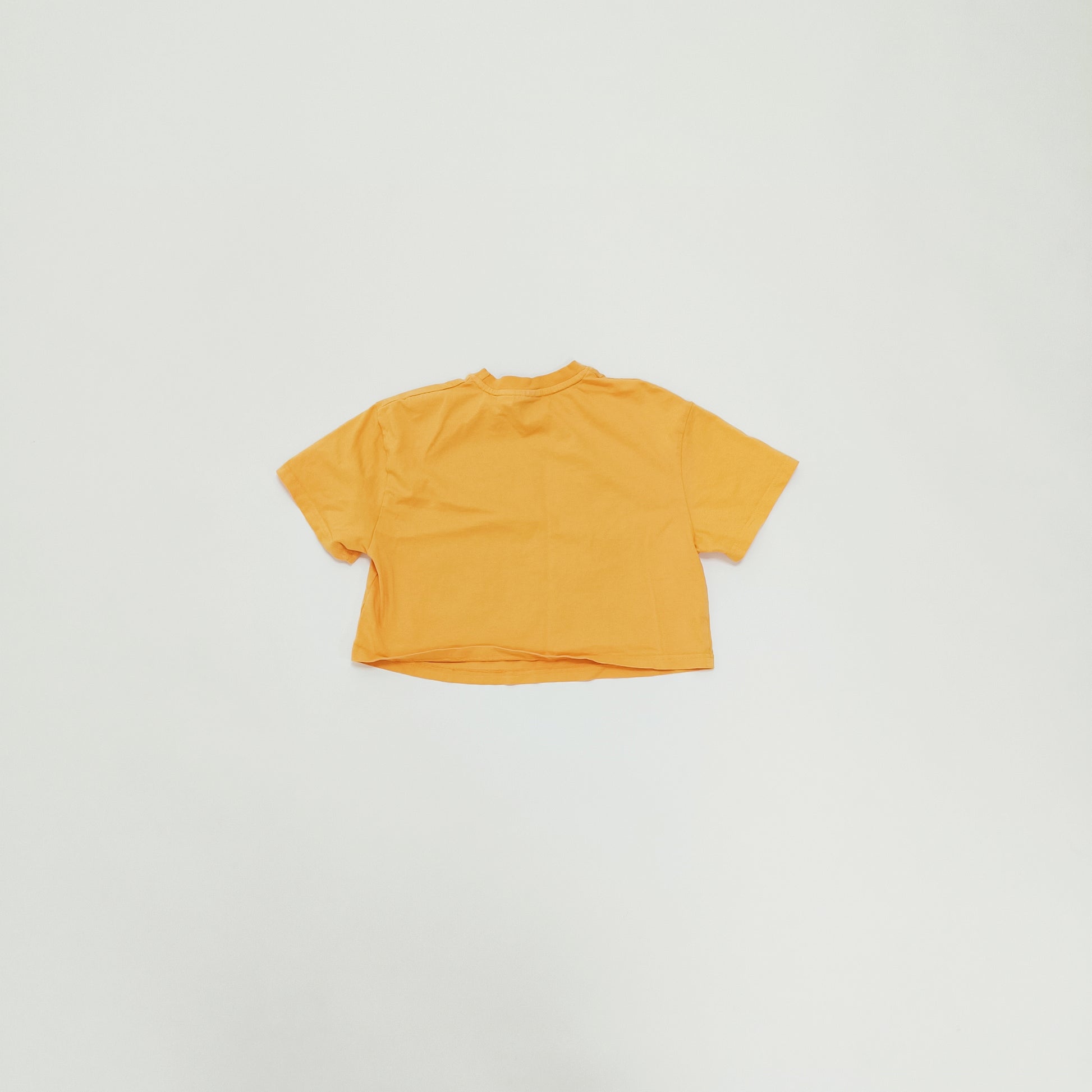 Orange Stitch Graphic Cropped T-Shirt Size Extra Extra Small | Preloved